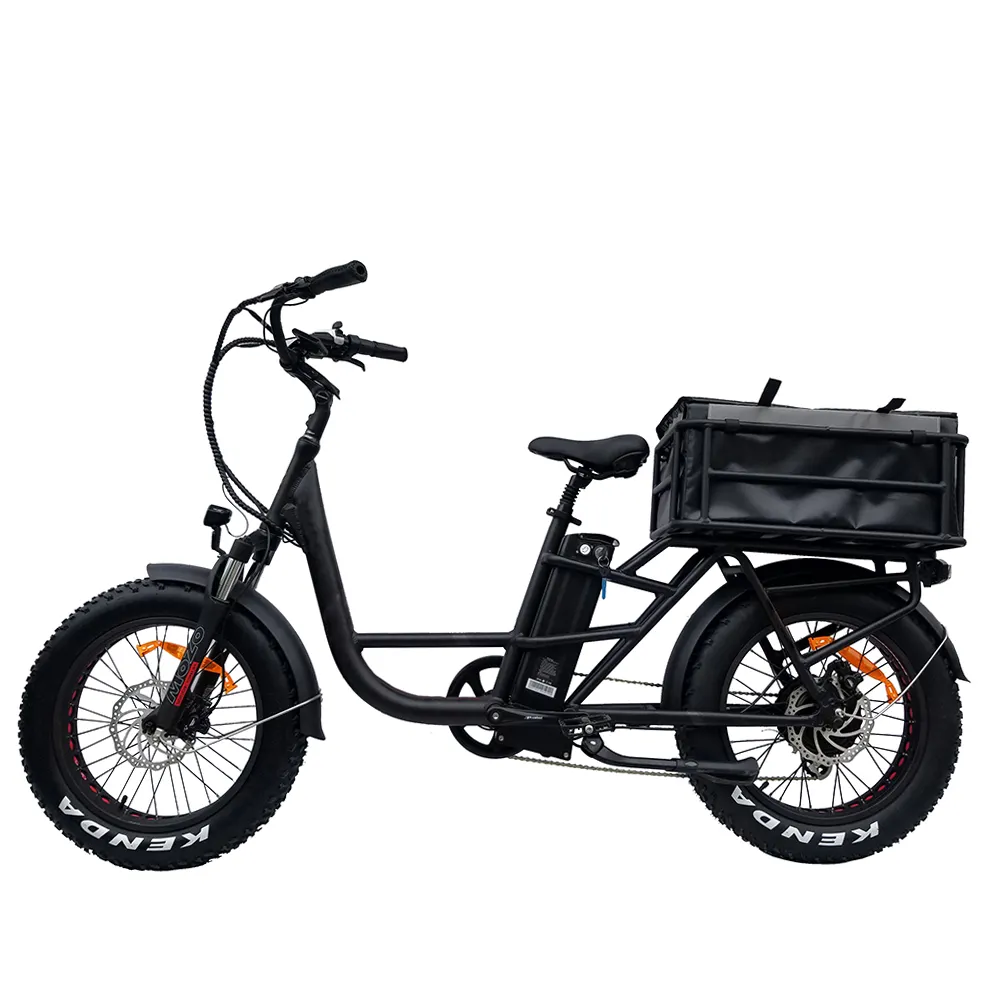 Power Bafang 48V500W Rear Drive bici elettrica adulto Trike 2 ruote E bici 20 pollici E bici Carry Cargo bicicletta elettrica