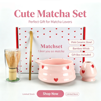 Ensemble de bols à matcha en céramique rose en forme de cœur, boîte cadeau matcha, fouet en bambou, cuillère chashaku, kit de cérémonie du thé japonais pour la Saint-Valentin