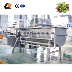 Máquina lavadora de cebolla y frutas de 1000 kg/h, cortadora de repollo para ensaladas, máquina para hacer ensaladas de uso pesado, para bebé, espinacas y línea de envasado - Product Image 3