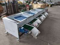 Automatische Blauwe-bessen Sorteermachine Blauwe-bessen Graderingsmachine Fruit- en Groentesorteermachine