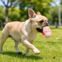 Jouet à mâcher couineur en latex classique moderne pour chien, jouet pour animaux de compagnie en forme de cochon naturel et souple pour chiens de petite et moyenne taille