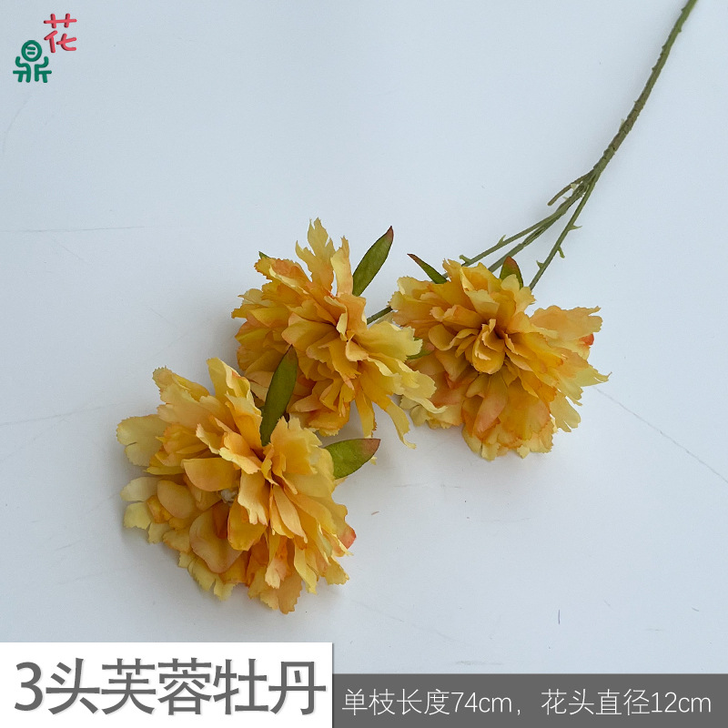 3 hibiscus peonies y yellow