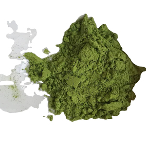 Poudre de <span class=keywords><strong>Macha</strong></span> de Qualité Alimentaire, Extrait Herbal de Feuilles, Racines et Coques en Forme Liquide, Certifié Halal, Conditionné en Sac, Fût, Bouteille, MOQ 1kg - Product Image 4
