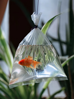 Sachets d'eau transparents en PEHD de petite taille, fournis directement par l'usine, emballage liquide personnalisé en polyéthylène pour l'eau potable et les poissons vivants en Afrique