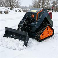 Tondeuse à gazon télécommandée Snow Place pour usage domestique, moteur diesel