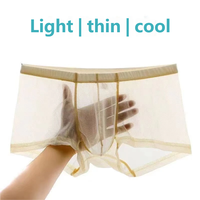 Sous-vêtements sexy ultra-fins pour hommes, lingerie transparente, maille respirante, string mi-haut, boxer en coton 100%