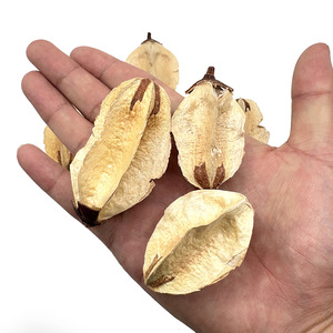 Fruta <span class=keywords><strong>Averrhoa</strong></span> al por mayor (<span class=keywords><strong>carambola</strong></span>) mascota-juguete interactivo de frutas secas comestibles favorito para pájaros - Product Image 4