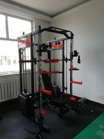 Máquina Smith personalizada, Fitness integral para equipo de entrenamiento, gimnasio en casa, estante de sentadillas multifuncional con placas eléctricas