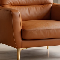 Fauteuil moderne en cuir marron, chaise individuelle, siège d'appoint pour salon, appartement, bureau
