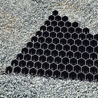 Grille de stationnement Grille de gravier Grille de pavé d'herbe en plastique HDPE