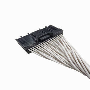 Jst 2.2 mét Pitch 36bmsc-b-2a1 + <span class=keywords><strong>SNAC3</strong></span>-<span class=keywords><strong>A021T</strong></span>-<span class=keywords><strong>M0.64</strong></span> + linksunet FLRY-B-0.5MM2 tùy chỉnh chế biến của ô tô hệ thống dây điện khai thác - Product Image 4