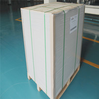 Super White FBB Paper Board GC2 Coated with Competitive Price