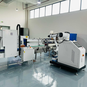 Machine de palettisation manuelle entièrement automatique, <span class=keywords><strong>robot</strong></span> de palettisation, machine de palettisation avec pince personnalisée - Product Image 4
