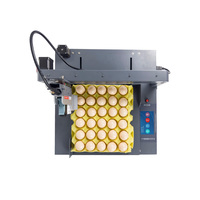 Automatische eier-inkjetprinter industriële eier-vervaldatum verpakkingslabelprinter logo markeermachine eiercodeerprinter
