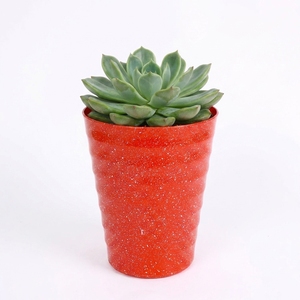 Modern Minimalist Plastic Planters White and Black PP Flower <b>Pots</b> for Home Indoor Use Lightweight Design <b>Small</b> Size - Product Image 3