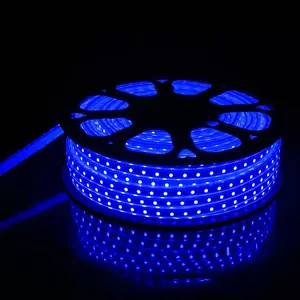 سطوع عالية للماء ديود الشريط RF عن بعد جدار تحكم RGB LED قطاع 220 V ل في الهواء الطلق/استخدام الخارجي شريط LED قطاع