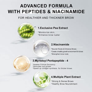 आईब्रो विकास सीरम पलक बाल विकास विरोधी बालों की वृद्धि विरोधी बालों की हानि उत्पाद गंजापन को रोकता है - Product Image 6
