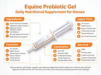Pâte Probiotique Équine en Gros pour Chevaux – Complément Alimentaire Favorisant l'Équilibre Digestif – Formule Multi-Souches – Applicateur Seringue – OEM