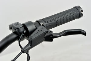 Controlador de Bicicleta Eléctrica CityIntube para el Mercado Europeo, <span class=keywords><strong>Desviador</strong></span>, Freno de Disco Hidráulico, Pedal Asistido Electrónico Digital de Largo Alcance, 25 km/h - Product Image 4