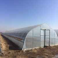 Serre agricole intelligente de grande taille (1000 m2), de bonne qualité, facile à installer, avec une structure en acier recouverte de feuilles de PC transparentes