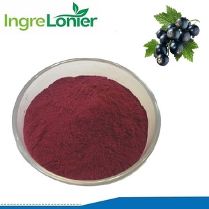 ブラックカラント抽出物<span class=keywords><strong>25%</strong></span> アントシアニン粉末 - Product Image 2