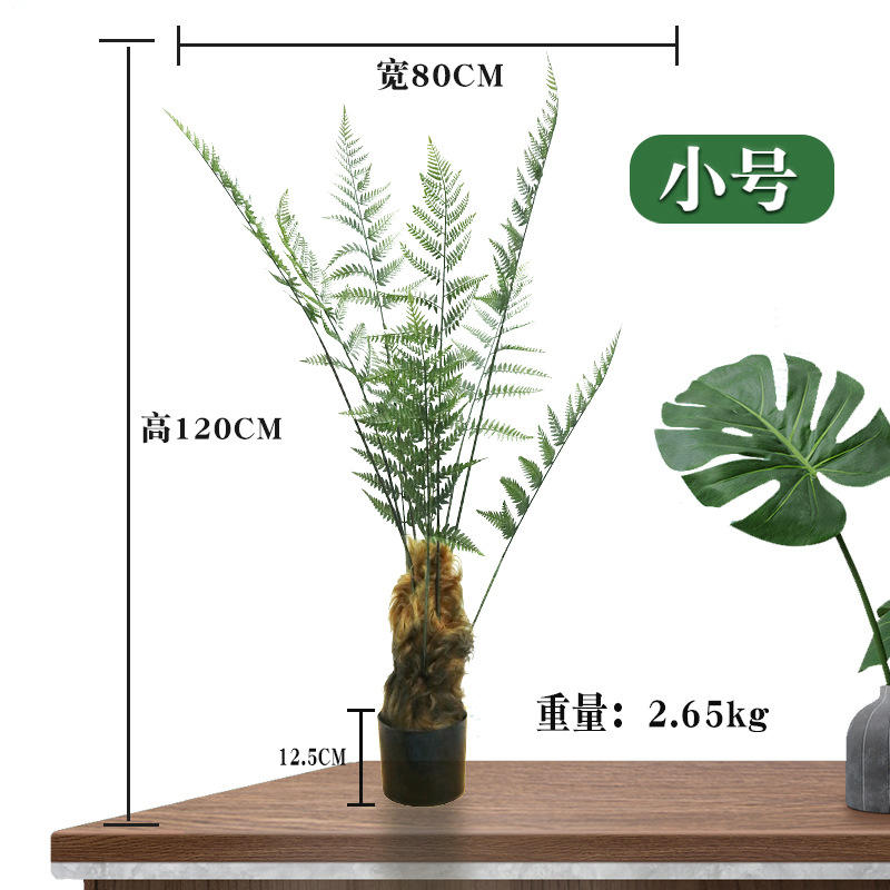 ลิงหัวเฟิร์นทอง120ซม