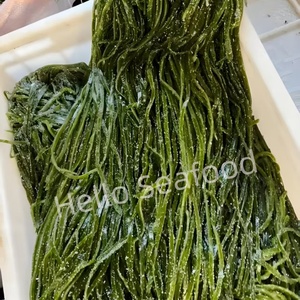 สาหร่ายทะเลเค็มคุณภาพสูงที่เก็บเกี่ยวได้อย่างยั่งยืนจากน้ำทะเลที่สะอาด - Product Image 4