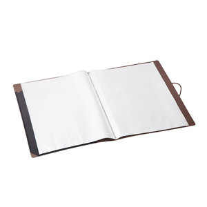 Gemini <b>Document</b> <b>Folder</b> A4 Size 20-Pouch Plastic File Organizer with Insert Pockets <b>for</b> Office Use - Product Image 2