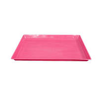 Support de Reproduction Pliable et Portable de Voyage, Style Classique, en Fer, avec Plateau en Plastique pour Canaris, Perroquets, Pigeons, Poulets et Oiseaux