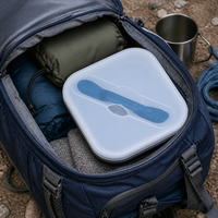 Conteneur alimentaire pliable carré portable de 1000 ml avec couvercle, compatible micro-ondes, réutilisable, boîte à lunch en silicone pour le camping