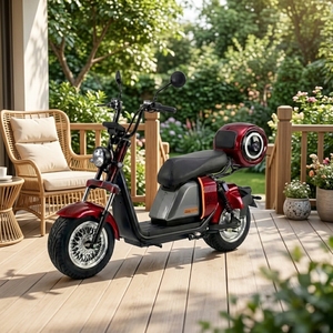 El Más Vendido en Brasil: Scooter Vintage de 1000w y 20ah con Batería de Litio, Neumáticos Anchos y Motor Potente de 1000w para Desplazamientos Urbanos, Modelo SS701 - Product Image 1