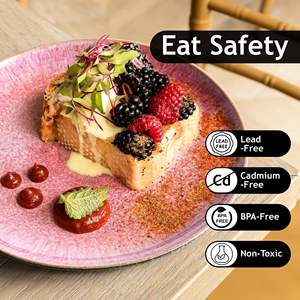 Platos de Cerámica y Juegos de Platos - Aptos para Microondas y Lavavajillas - Porcelana Ecológica y Duradera - Colección <span class=keywords><strong>Las</strong></span> <span class=keywords><strong>Palmitas</strong></span> - Product Image 3