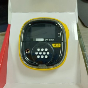 เครื่องตรวจจับก๊าซ BW รุ่น BWS2-H-Y ของแท้ ขายดี - Product Image 4