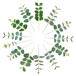 SN-M1099 ткань шелк Цветочная композиция с изображением зеленых листьев и стволовых Искусственные листья эвкалипта