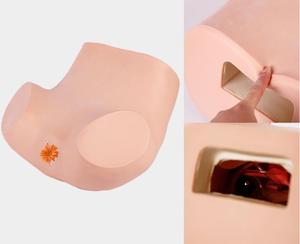 Modello avanzato di formazione per diagnosi interna ginecologica modello di esame femminile palpazione uterina ed esame visivo - Product Image 2