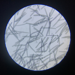 Sérum Anti-Âge OEM ODM à l'Extrait Végétal et Poudre d'Éponge Hydrolysée, Traitement des Taches Pigmentaires sous Forme de Poudre Cristalline - Product Image 5
