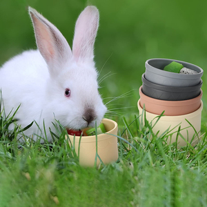 Conejito reutilizable para esconder comida, tazas apilables anidadas, juguetes de conejo para mascotas para Conejo, conejillo de indias - Product Image 2