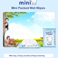 Mode écologique OEM Portable 10 pièces Extra doux Non tissé nettoyage lingettes humides pour bébés