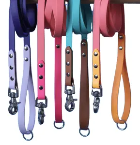 2023 The newest design PVC color bumping design waterproof dog leash Durable Contrasting and mixed color pet collar and leash se