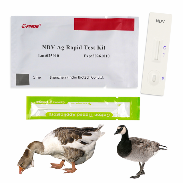 Quick Response Rapid Test Kit for Newcastle Disease Virus Antigen (NDV Ag) Detection Veterinary Instrument for Poultry Disease
