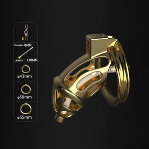 Gabbia di Castità in Metallo Dorato SEVANDA, Giocattoli Sessuali per Uomini, Lucchetto per Pene, Attrezzatura per Bondage per Giochi Erotici - Product Image 4