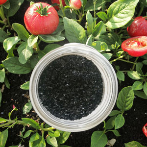 خصم اليابانية مستخلص الأعشاب البحرية للبيع - Product Image 4