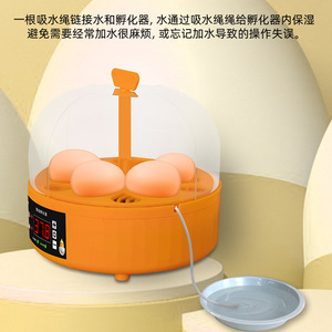 Incubateur d'œufs intelligent 6 œufs, retournement automatique, affichage numérique, pour l'éclosion des poussins, usage domestique, avec isolation, prêt pour l'hiver - Product Image 4