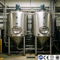 Equipo de Fermentación de Acero Inoxidable de Doble Tanque con Motor y Agitador para Bebidas Carbonatadas, Capacidad de 100L