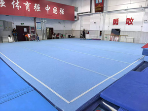 Colchoneta enrollable <span class=keywords><strong>Triflex</strong></span> 12 x 2 m, 35 mm, colchoneta de ejercicio azul claro, tipo enrollable, tipo sin cortar, 12m*2m, en venta - Product Image 5