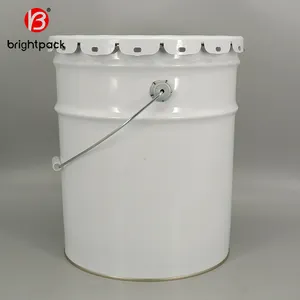 Aangepaste 15l Metalen Verf Emmer Epoxy Bekleed Met Verwijderbare Bloem Lug Deksel