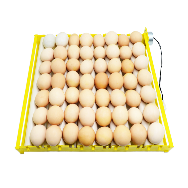 Chicken Incubator With 50 Eggs Roller Egg Tray Automatic for Mini Incubator