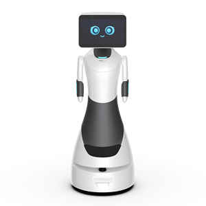 Robot d'accueil IA de haute technologie à prix d'usine avec fonction de dialogue vocal et de danse, recharge automatique, idéal pour la réception d'entreprise - Product Image 2