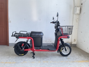 Exportaciones de Vehículos Eléctricos: Bicicletas Eléctricas para Subir Colinas, Entrega de Carga, E-Bikes de Largo Alcance, Motocicletas de 800W 6072V de Gran Autonomía - Product Image 4