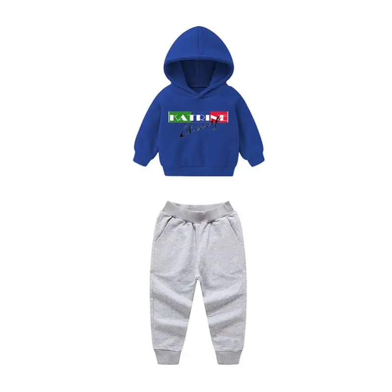 Kids Clothes Sport Suit 2 Pcs Fashion Baby Boys And Girls Clothing Sets Long Sleeve cotton hoodies sweat suits